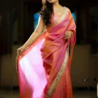 Woman posing in a light rose lavender colored net saree with silver embroidery and mirror work lace border.